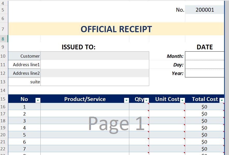 ROR Professional Receipt